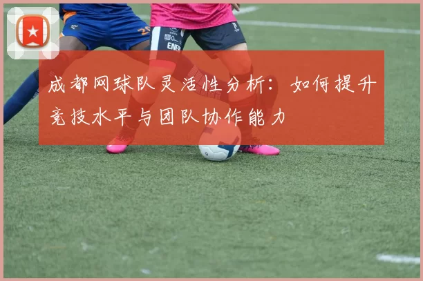 成都网球队灵活性分析：如何提升竞技水平与团队协作能力
