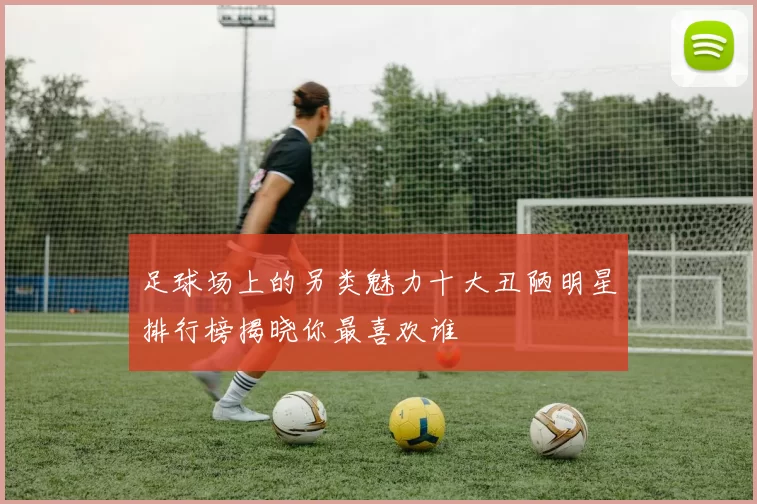 足球场上的另类魅力十大丑陋明星排行榜揭晓你最喜欢谁