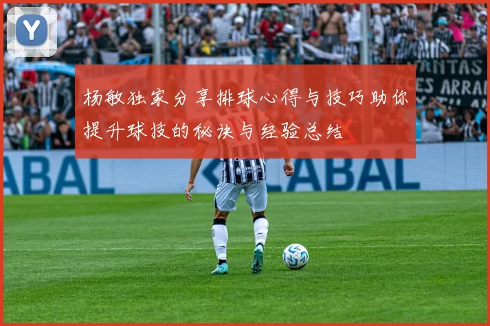 杨敏独家分享排球心得与技巧助你提升球技的秘诀与经验总结