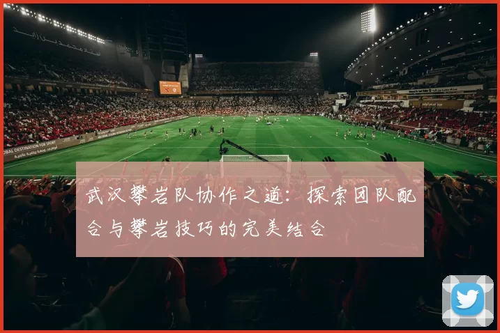 武汉攀岩队协作之道：探索团队配合与攀岩技巧的完美结合