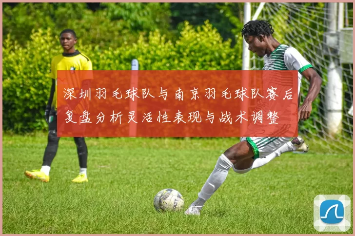 深圳羽毛球队与南京羽毛球队赛后复盘分析灵活性表现与战术调整
