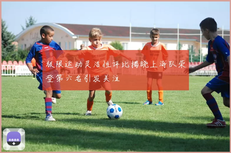 极限运动灵活性评比揭晓上海队荣登第六名引发关注