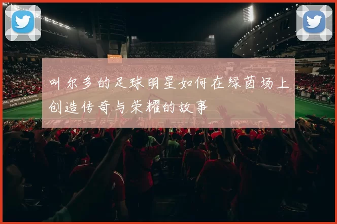 叫尔多的足球明星如何在绿茵场上创造传奇与荣耀的故事