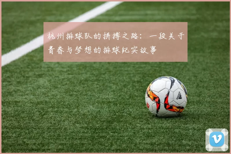 杭州排球队的拼搏之路：一段关于青春与梦想的排球纪实故事