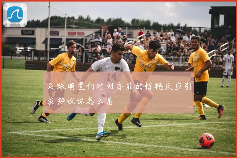 足球明星们对刘亦菲的惊艳反应引发热议你怎么看
