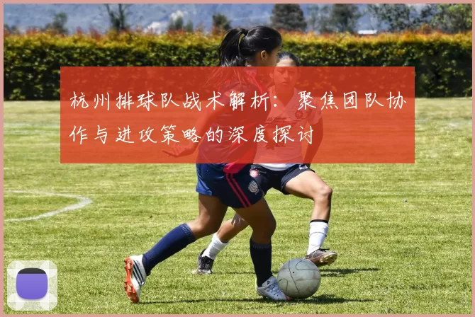 杭州排球队战术解析：聚焦团队协作与进攻策略的深度探讨