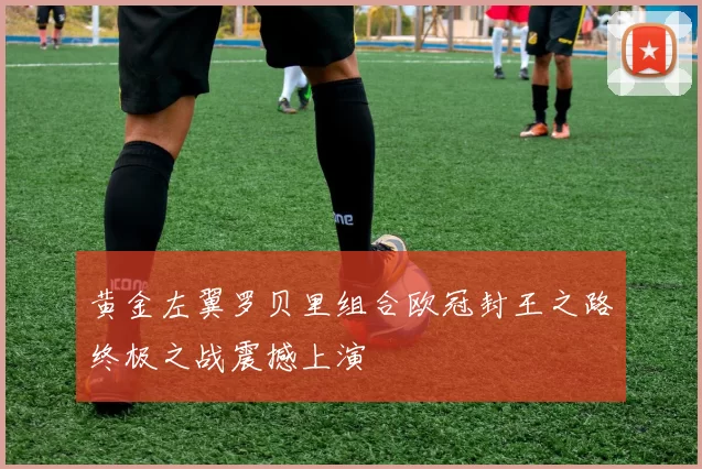 黄金左翼罗贝里组合欧冠封王之路终极之战震撼上演